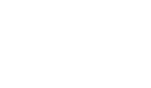 generate press theme